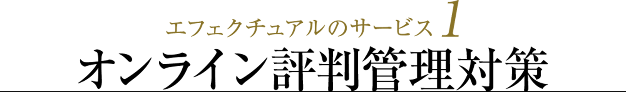 エフェクチュアルのサービス1：オンライン評判管理対策