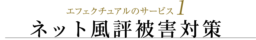 エフェクチュアルのサービス1：ネット風評被害対策