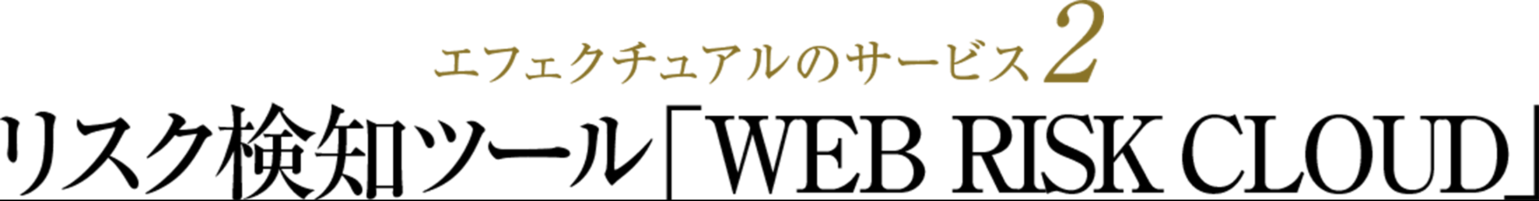 エフェクチュアルのサービス2：リスク検知ツール「Web risk cloud」